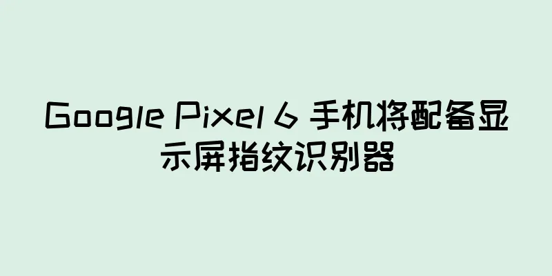 Google Pixel 6 手机将配备显示屏指纹识别器