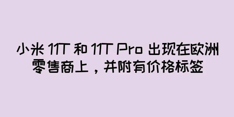 小米 11T 和 11T Pro 出现在欧洲零售商上，并附有价格标签