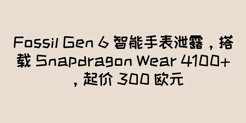 Fossil Gen 6 智能手表泄露，搭载 Snapdragon Wear 4100+，起价 300 欧元