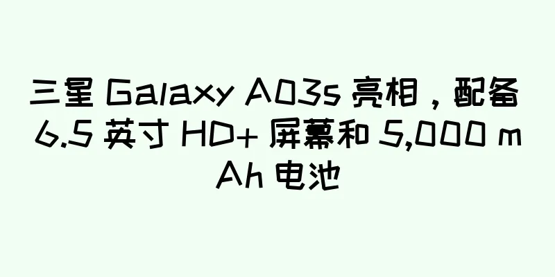三星 Galaxy A03s 亮相，配备 6.5 英寸 HD+ 屏幕和 5,000 mAh 电池