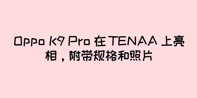 Oppo K9 Pro 在 TENAA 上亮相，附带规格和照片