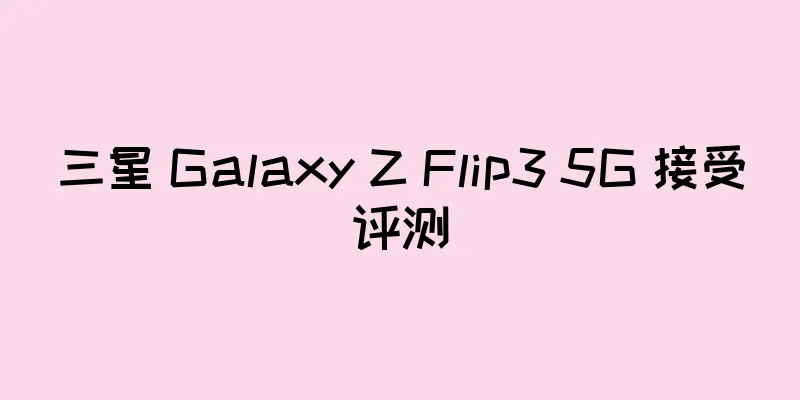 三星 Galaxy Z Flip3 5G 接受评测