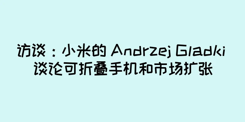 访谈：小米的 Andrzej Gladki 谈论可折叠手机和市场扩张