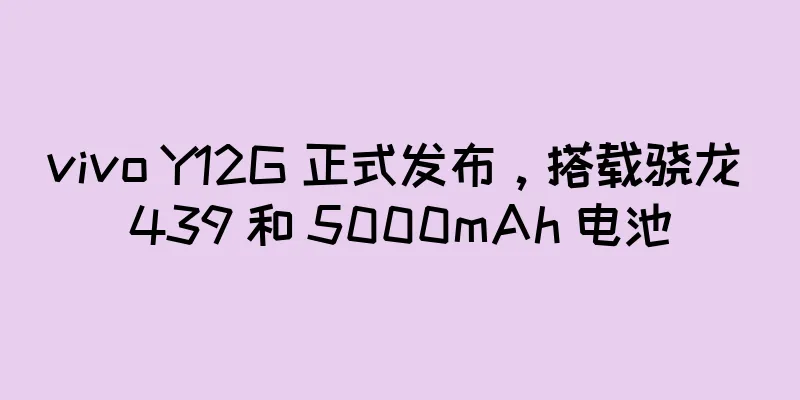 vivo Y12G 正式发布，搭载骁龙 439 和 5000mAh 电池