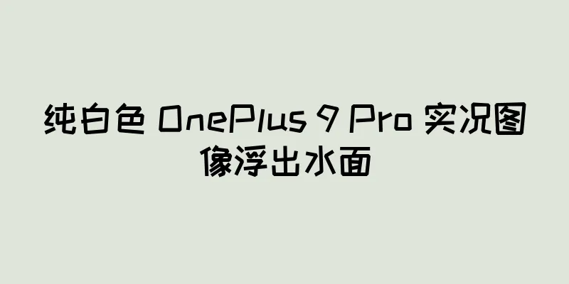 纯白色 OnePlus 9 Pro 实况图像浮出水面
