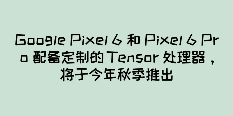 Google Pixel 6 和 Pixel 6 Pro 配备定制的 Tensor 处理器，将于今年秋季推出
