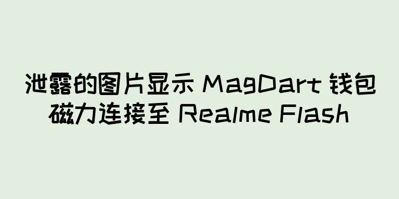 泄露的图片显示 MagDart 钱包磁力连接至 Realme Flash