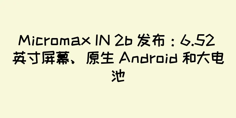 Micromax IN 2b 发布：6.52 英寸屏幕、原生 Android 和大电池