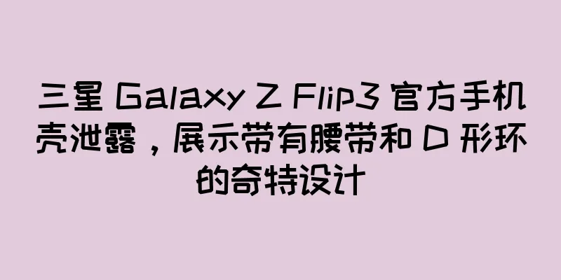 三星 Galaxy Z Flip3 官方手机壳泄露，展示带有腰带和 D 形环的奇特设计