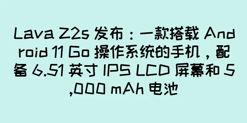 Lava Z2s 发布：一款搭载 Android 11 Go 操作系统的手机，配备 6.51 英寸 IPS LCD 屏幕和 5,000 mAh 电池