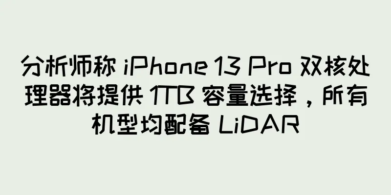 分析师称 iPhone 13 Pro 双核处理器将提供 1TB 容量选择，所有机型均配备 LiDAR