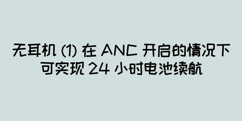 无耳机 (1) 在 ANC 开启的情况下可实现 24 小时电池续航