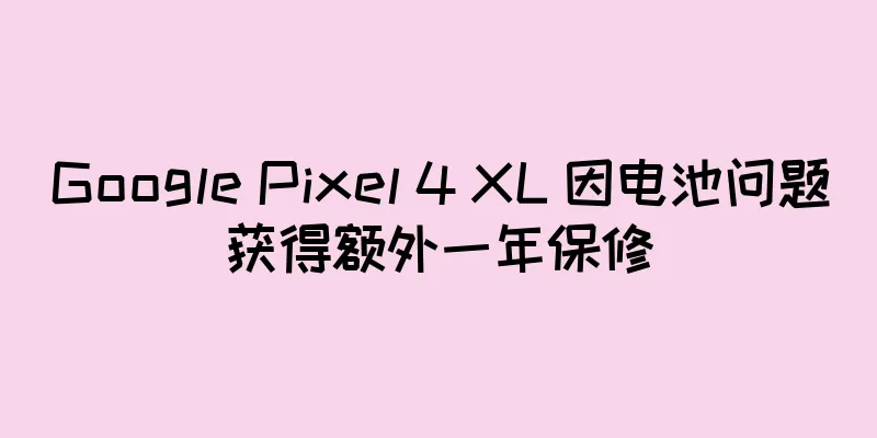 Google Pixel 4 XL 因电池问题获得额外一年保修