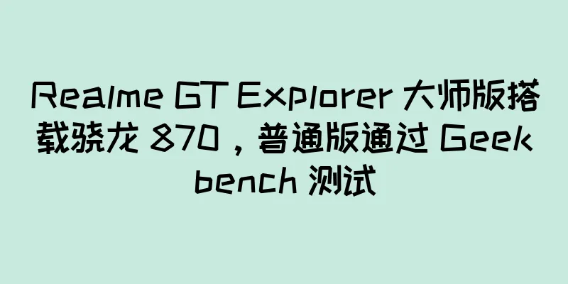 Realme GT Explorer 大师版搭载骁龙 870，普通版通过 Geekbench 测试