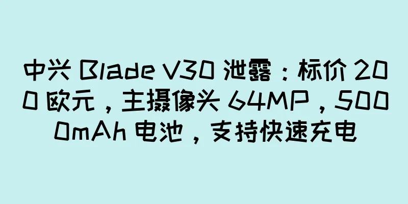 中兴 Blade V30 泄露：标价 200 欧元，主摄像头 64MP，5000mAh 电池，支持快速充电