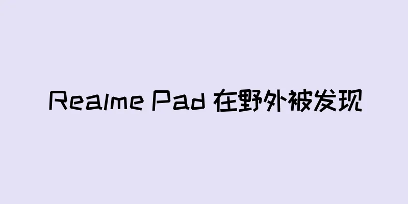 Realme Pad 在野外被发现