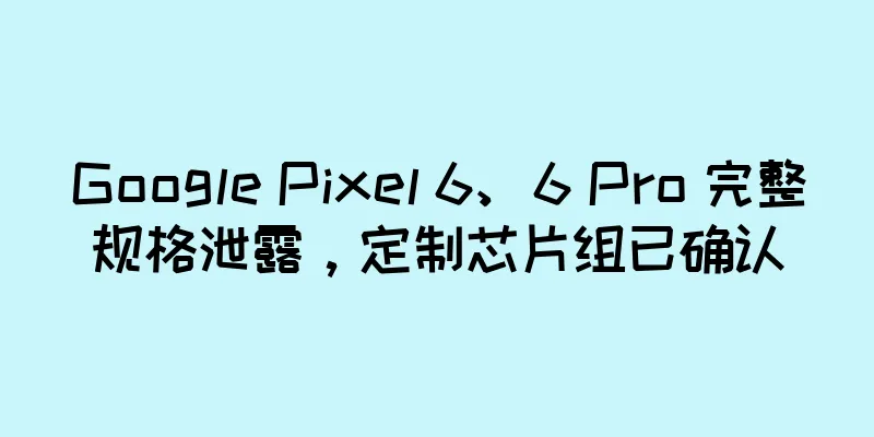 Google Pixel 6、6 Pro 完整规格泄露，定制芯片组已确认