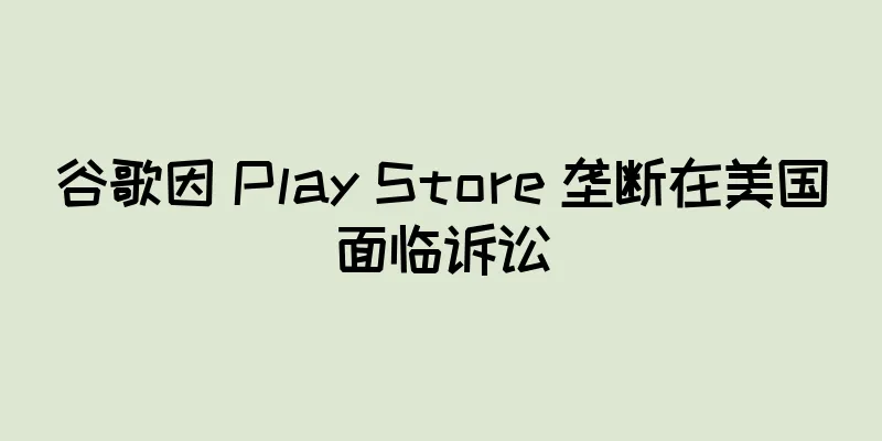 谷歌因 Play Store 垄断在美国面临诉讼
