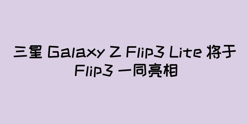 三星 Galaxy Z Flip3 Lite 将于 Flip3 一同亮相