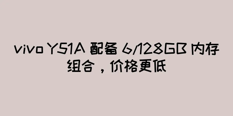 vivo Y51A 配备 6/128GB 内存组合，价格更低