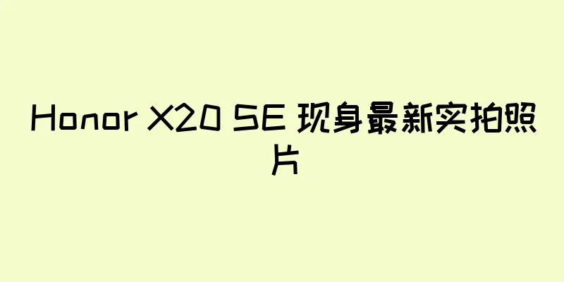 Honor X20 SE 现身最新实拍照片