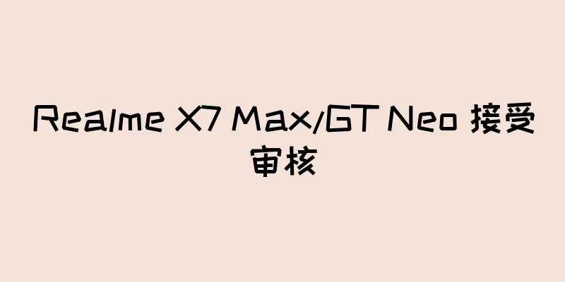 Realme X7 Max/GT Neo 接受审核