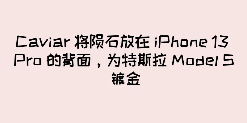 Caviar 将陨石放在 iPhone 13 Pro 的背面，为特斯拉 Model S 镀金