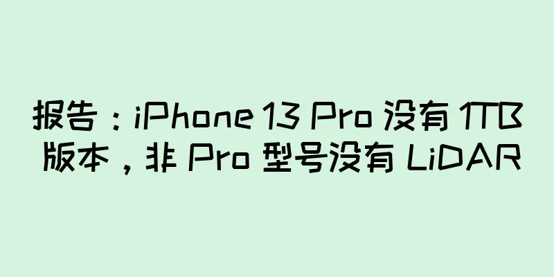报告：iPhone 13 Pro 没有 1TB 版本，非 Pro 型号没有 LiDAR