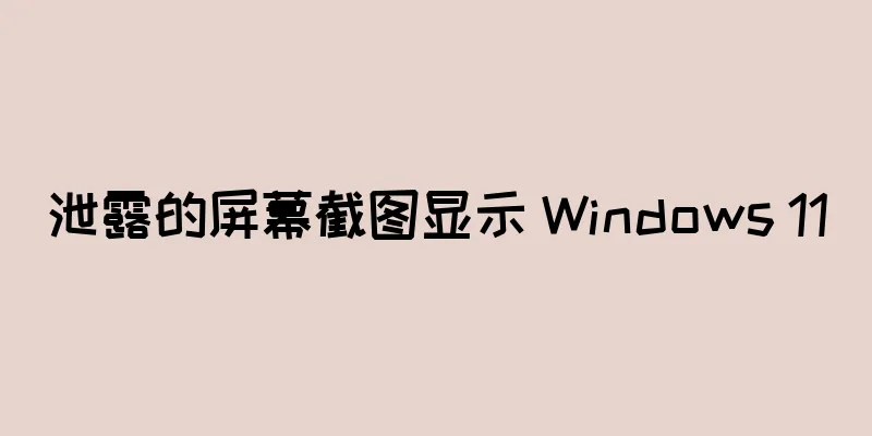 泄露的屏幕截图显示 Windows 11