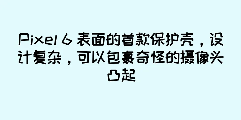 Pixel 6 表面的首款保护壳，设计复杂，可以包裹奇怪的摄像头凸起