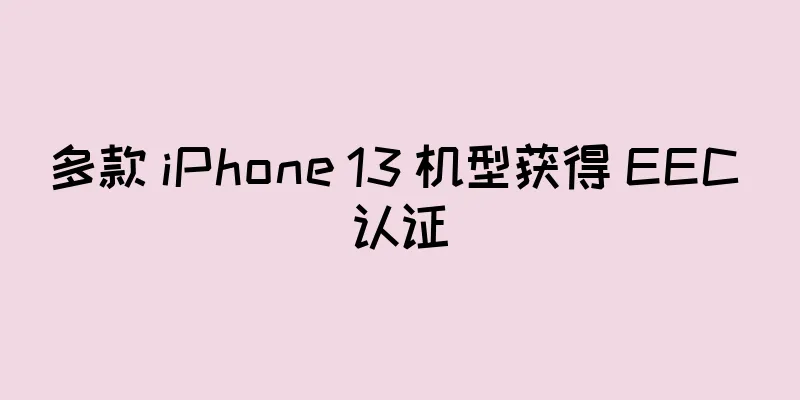 多款 iPhone 13 机型获得 EEC 认证