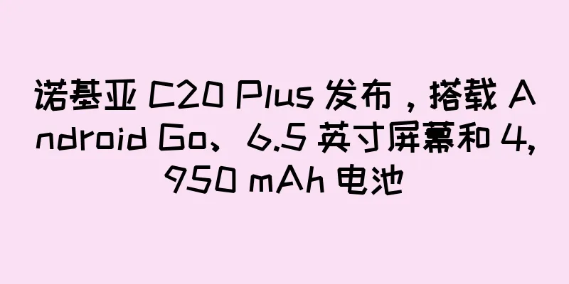 诺基亚 C20 Plus 发布，搭载 Android Go、6.5 英寸屏幕和 4,950 mAh 电池