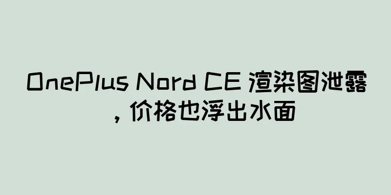 OnePlus Nord CE 渲染图泄露，价格也浮出水面