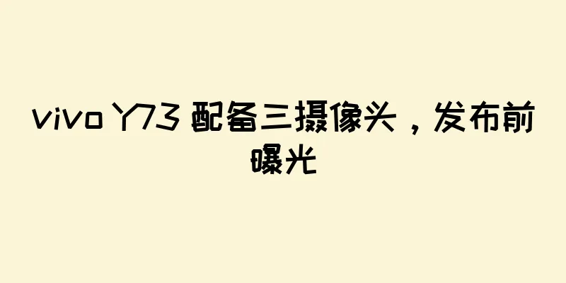 vivo Y73 配备三摄像头，发布前曝光