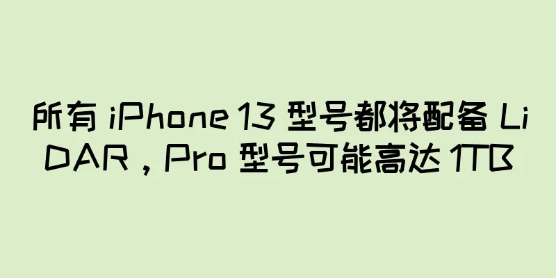 所有 iPhone 13 型号都将配备 LiDAR，Pro 型号可能高达 1TB