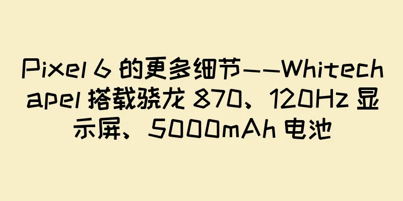 Pixel 6 的更多细节——Whitechapel 搭载骁龙 870、120Hz 显示屏、5000mAh 电池