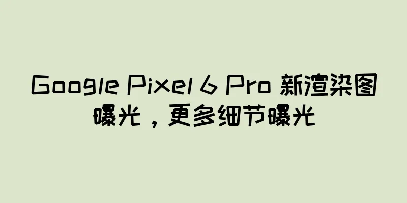 Google Pixel 6 Pro 新渲染图曝光，更多细节曝光