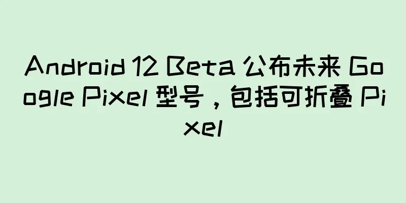 Android 12 Beta 公布未来 Google Pixel 型号，包括可折叠 Pixel