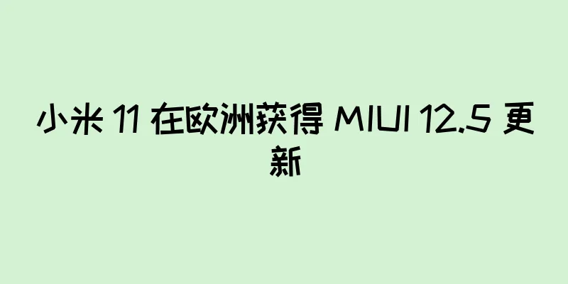 小米 11 在欧洲获得 MIUI 12.5 更新