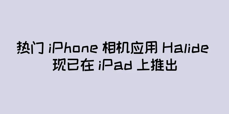 热门 iPhone 相机应用 Halide 现已在 iPad 上推出