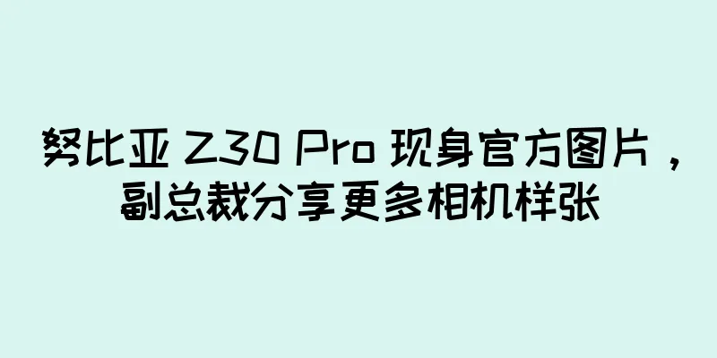 努比亚 Z30 Pro 现身官方图片，副总裁分享更多相机样张