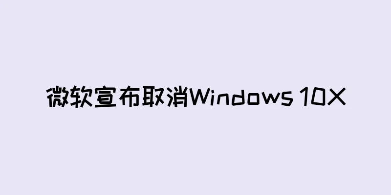 微软宣布取消Windows 10X