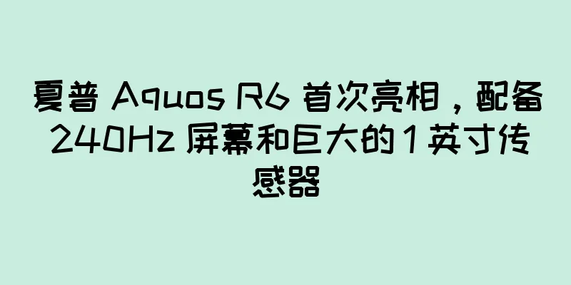 夏普 Aquos R6 首次亮相，配备 240Hz 屏幕和巨大的 1 英寸传感器