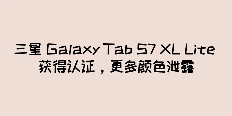 三星 Galaxy Tab S7 XL Lite 获得认证，更多颜色泄露