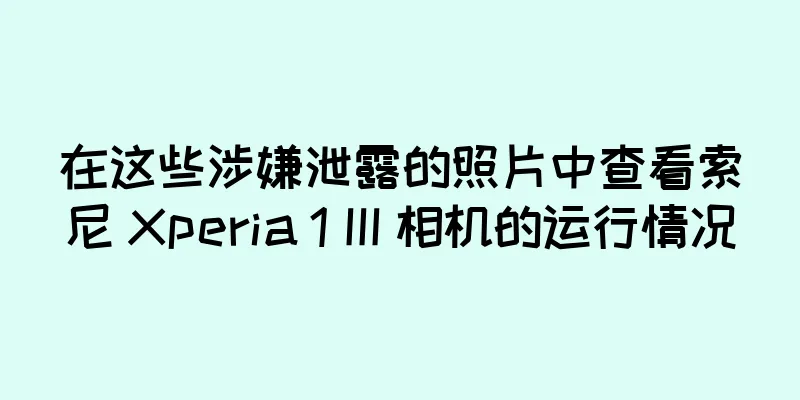 在这些涉嫌泄露的照片中查看索尼 Xperia 1 III 相机的运行情况
