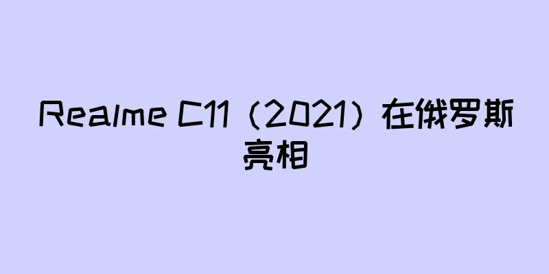 Realme C11（2021）在俄罗斯亮相