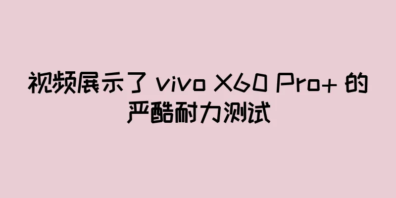 视频展示了 vivo X60 Pro+ 的严酷耐力测试