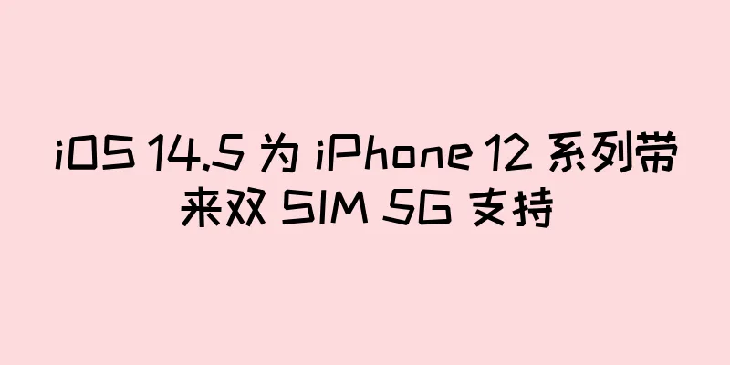 iOS 14.5 为 iPhone 12 系列带来双 SIM 5G 支持
