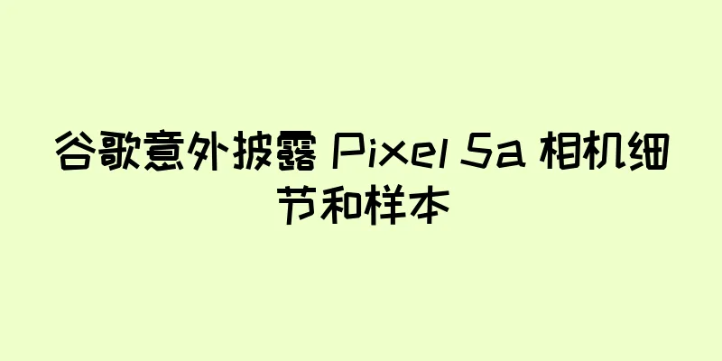 谷歌意外披露 Pixel 5a 相机细节和样本