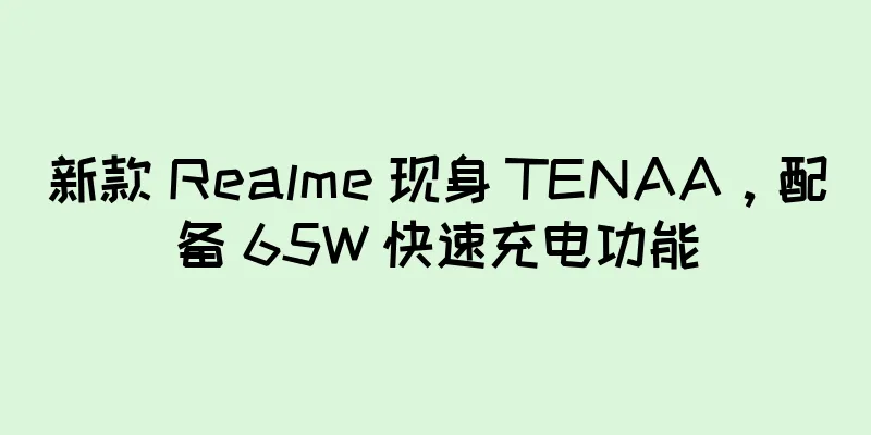 新款 Realme 现身 TENAA，配备 65W 快速充电功能